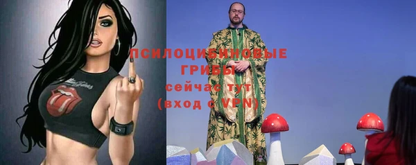 шишки Арсеньев