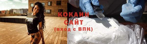 молекула духа Пересвет