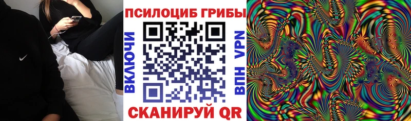 Псилоцибиновые грибы ЛСД  блэк спрут вход  Бородино  купить наркотики цена 